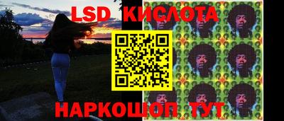 эйфоретик Малгобек