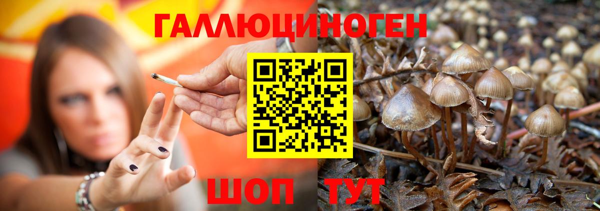 Чернушка  Галлюциногенные грибы Magic Shrooms  Галлюциногенные грибы Cubensis  Вход с VPN 